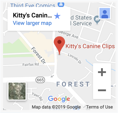 screenshot of kittys canine clips