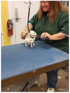 nurse performing training on robot dog