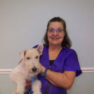 female vet holding white dog