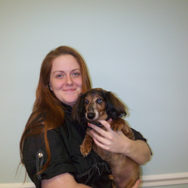 female vet holding small dachshund